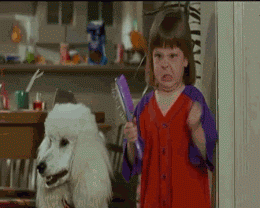 giphy-downsized (5)
