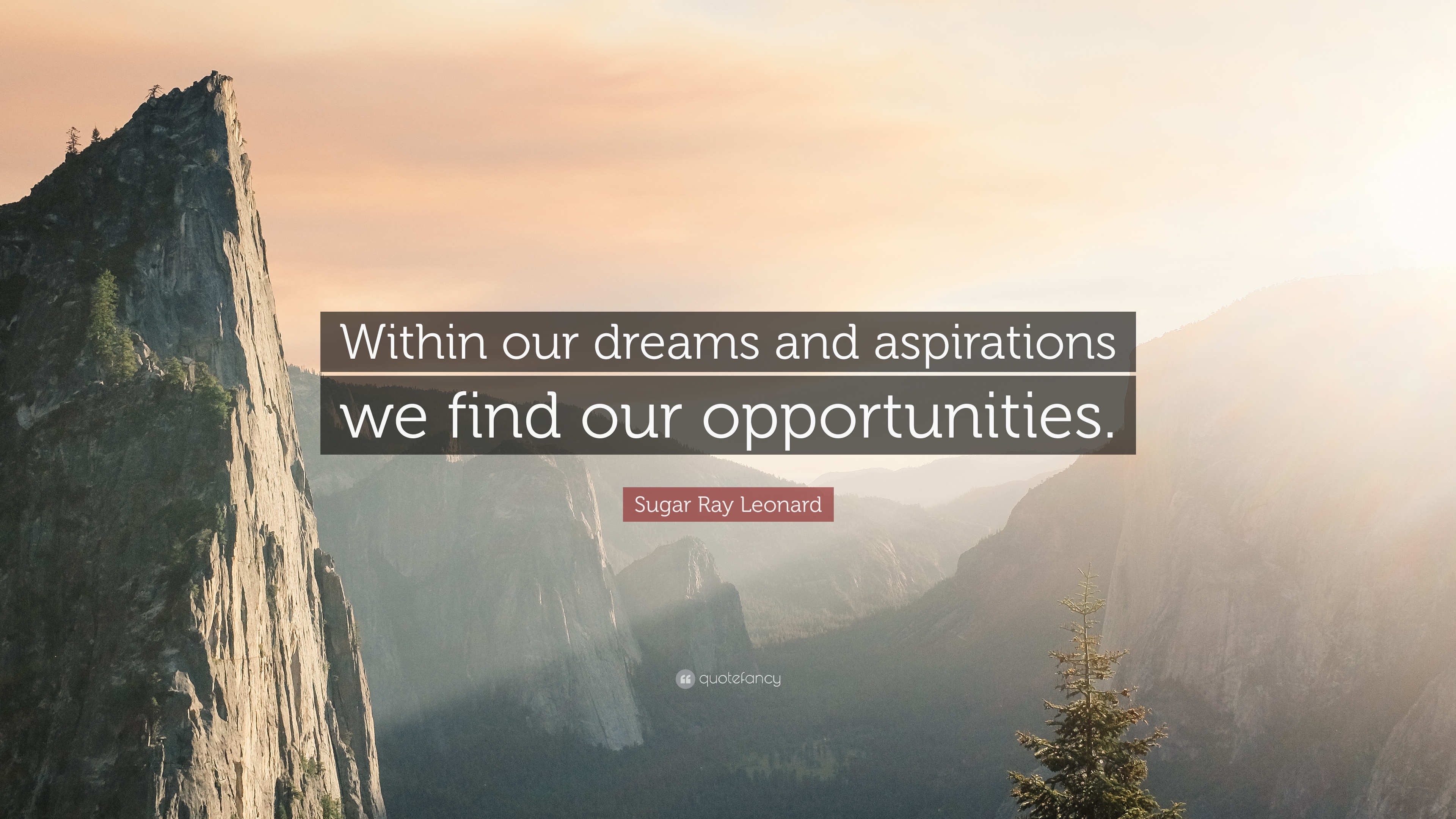997399-Sugar-Ray-Leonard-Quote-Within-our-dreams-and-aspirations-we-find.jpg