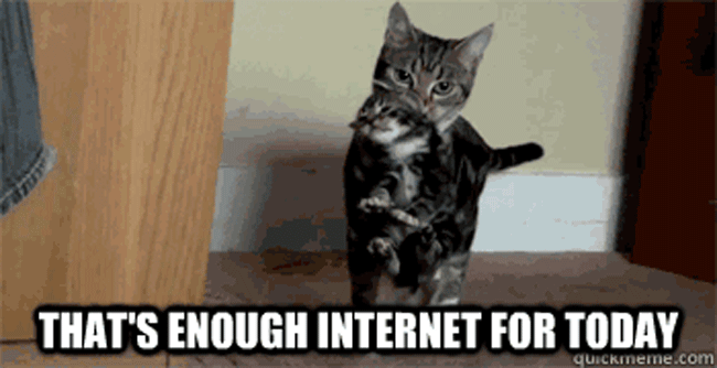giphy (7).gif